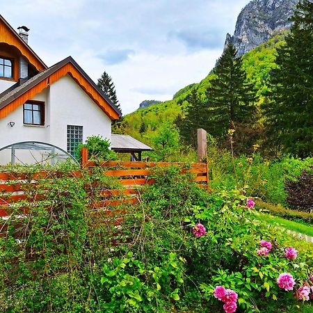 InGreen house Bohinjska Bela Buitenkant foto