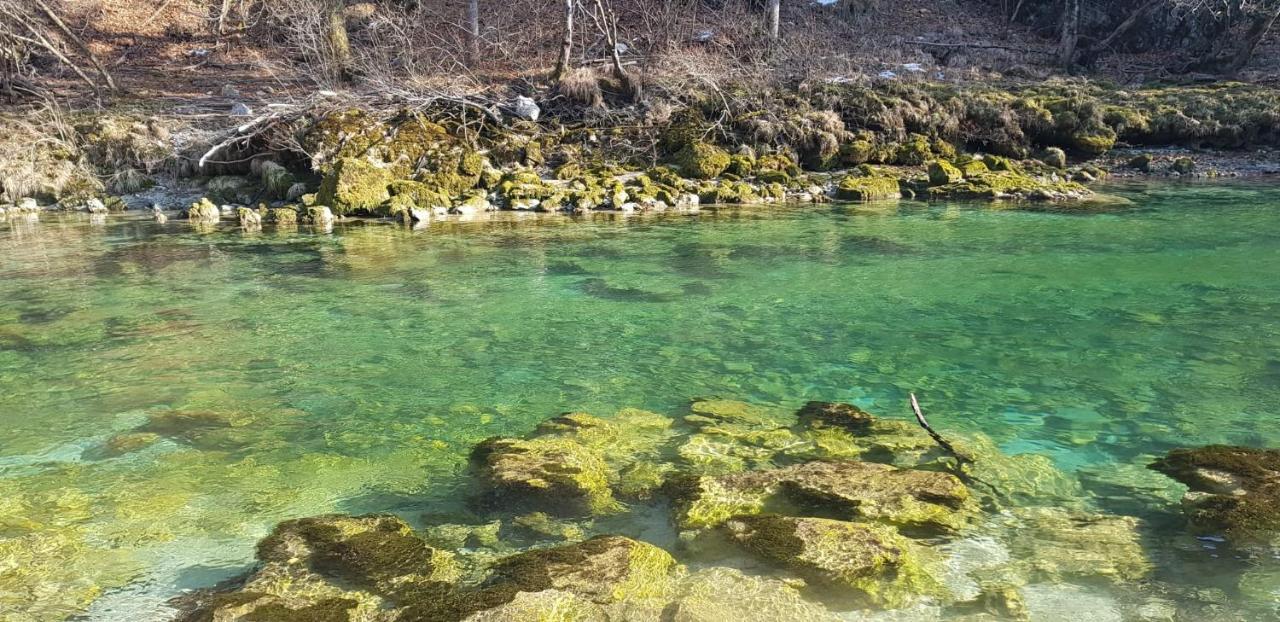 InGreen house Bohinjska Bela Buitenkant foto