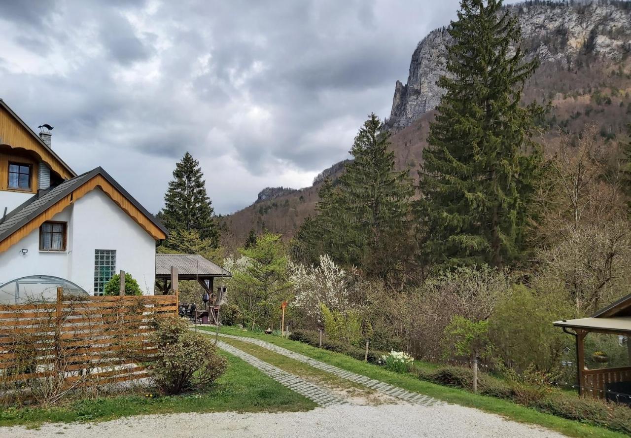 InGreen house Bohinjska Bela Buitenkant foto