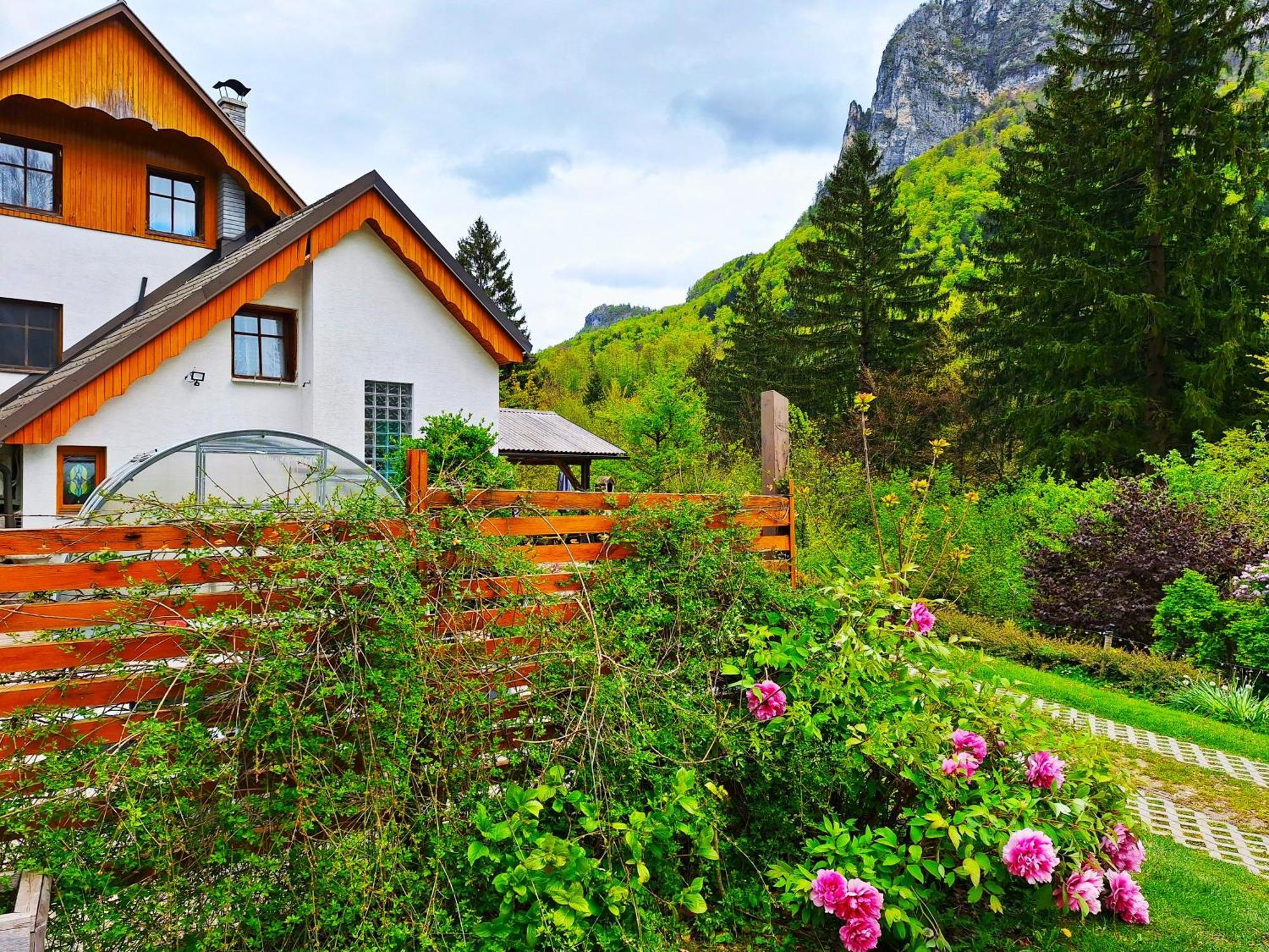 InGreen house Bohinjska Bela Buitenkant foto