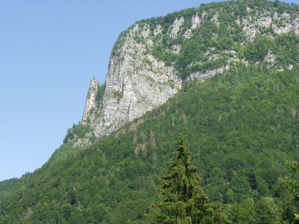 InGreen house Bohinjska Bela Buitenkant foto