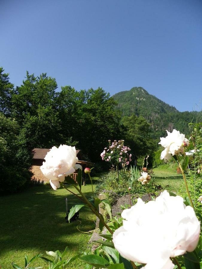 InGreen house Bohinjska Bela Buitenkant foto